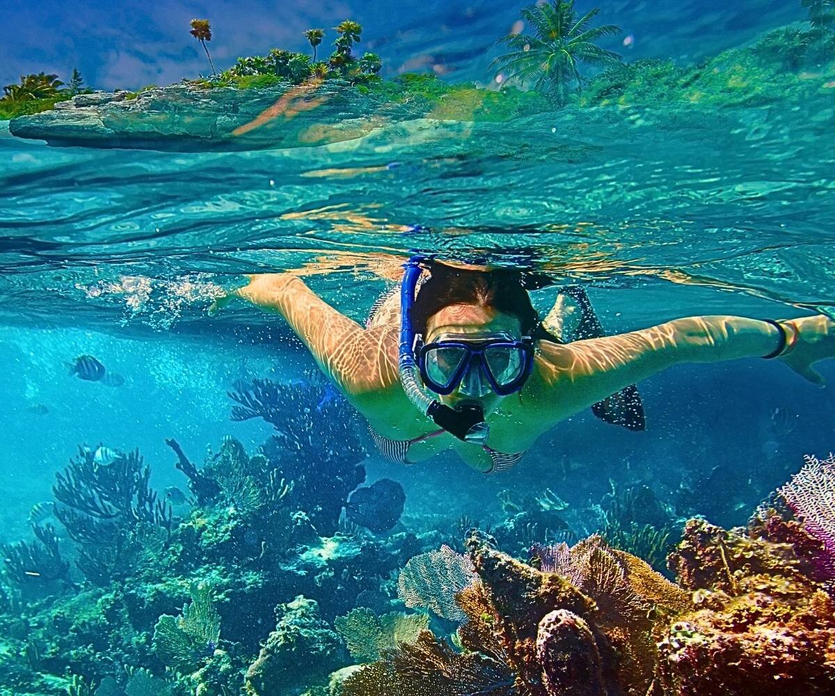 snorkel with turtles