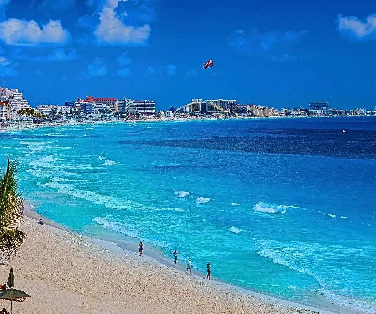 swim with coral reefs