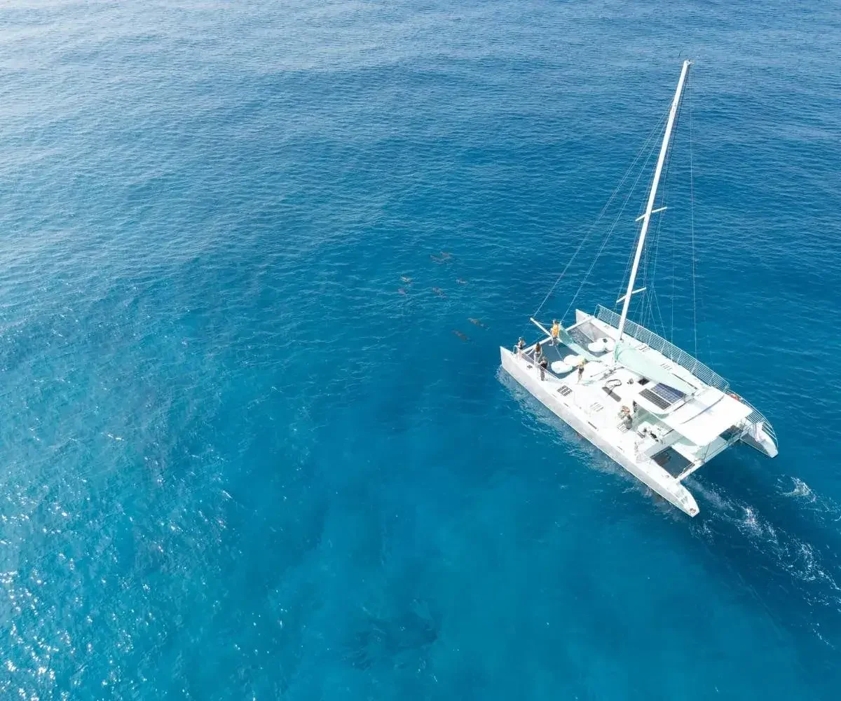 isla mujeres catamaran